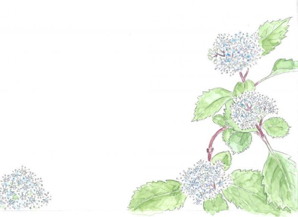 画像3: ポストカード（トトロの森の四季・春夏） (3)